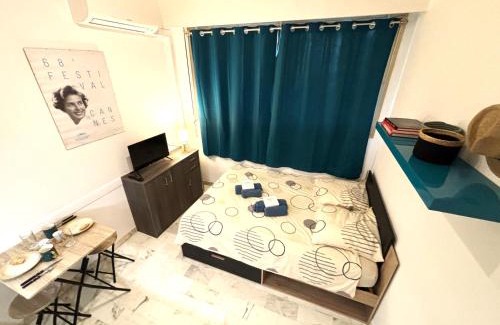 Cannes Apartment | Cannes center wifi AC 100 m from Croisette behind Martinez hotel