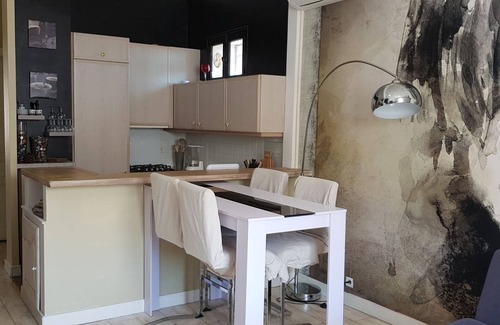 Riou - Petit Juas - Av de Grasse Apartment | Cannes spacious air-conditioned duplex