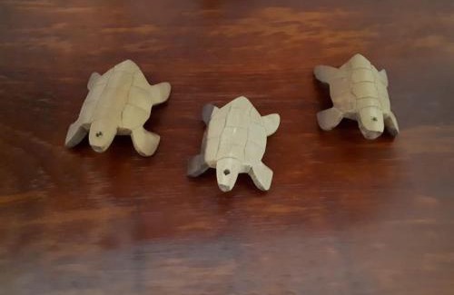 Caraiva House | Cantinho da Cineka