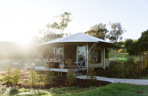 Seppeltsfield Cabin | CANVS by CABN Seppeltsfield Barossa