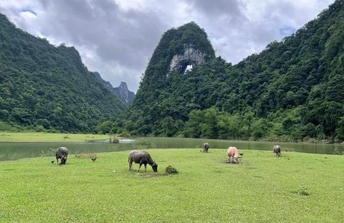 Tra Linh Bed & Breakfast | Cao Bang Loop Homestay - Camping & Daily Trekking Tour