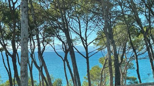 Cap de Salou Apartment | Cap Salou Mar