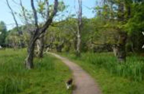 Newton Stewart Ski Chalet | Caravan - Sleeps 4 - Pet friendly - Parking