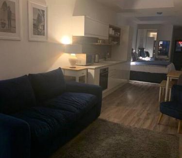 Carbis Bay Apartment | Carbis Daze Ocean Views Studio, SuperKing bed St Ives Carbis Bay