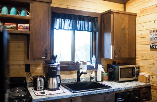 Whitesboro Cabin | Cardinal Treehouse Big Cedar Wilderness Cabins