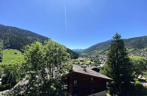 Le Grand-Bornand Apartment | Caribou Residence - Charming Studio + cabin - 26m2 - 5 people