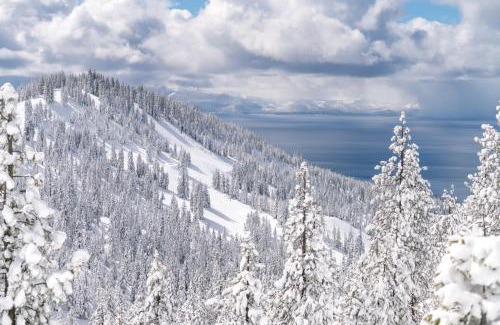 Incline Village House | Carinthia Cabin