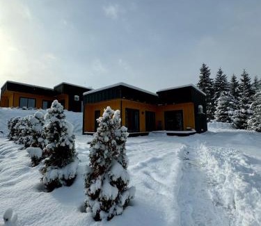 Verkhovyna House | Carpathians View