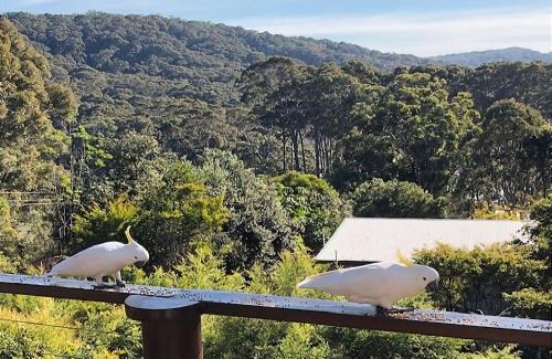 Depot Beach House | Carr Street Murramurang National Park