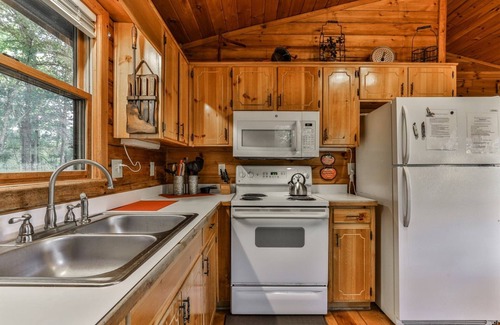 Ellijay Cabin | Carter`s Kaleidoscope View