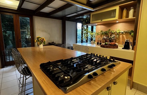 Carapicuiba House | Casa Per'un Artista