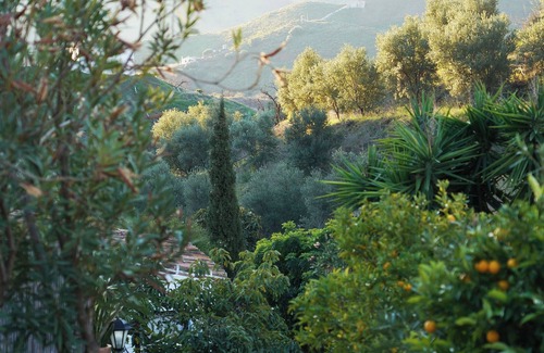 El Borge House | Casa 1/andalusian architecture in a beautiful green oasis 1 km from El Borge