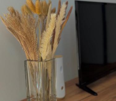 Zvornik Apartment | Casa 20 Cozy New Apartment in Central Zvornik Near Border and Airports