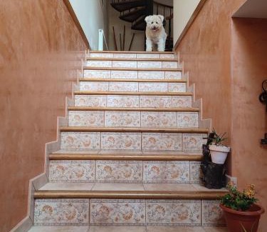 A Guarda House | Casa A RODA
