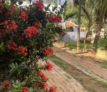 Palmas House | Casa aconchegante e espaçosa