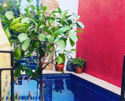Pinos del Valle Bed & Breakfast | Casa Aire de Lecrin