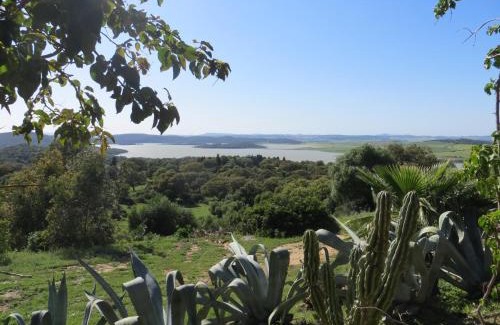 Medina-Sidonia House | Casa Alvarianes