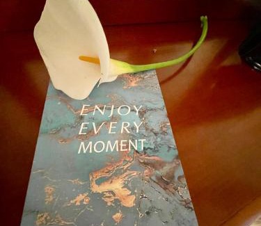 Noia House | Casa Amelia Noia