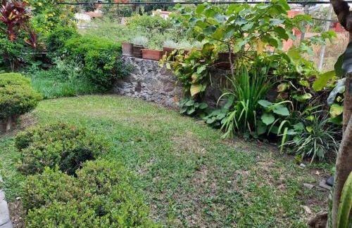 Cuernavaca Apartment | Casa amueblada en cuernavaca