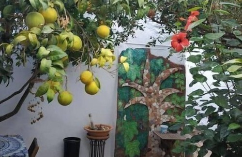 Periana House | Casa Andreas