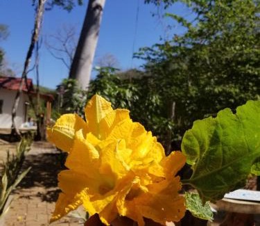 Santa Maria Huatulco Other | Casa Aragón Ortíz