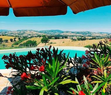 Castelleone di Suasa House | Casa Bozzo, appartement 'Collina'