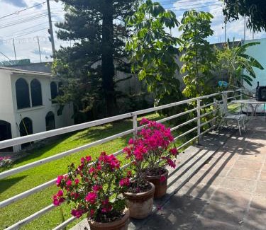Palmira Apartment | Casa Camelina