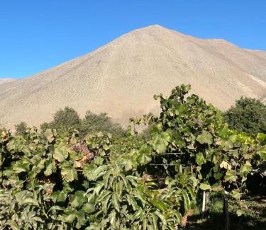 Vicuna House | Casa campestre Valle del Elqui
