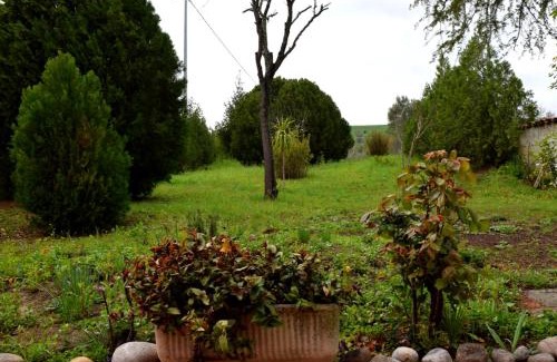 Bellante Villa | Casa Carletto, Abruzzo