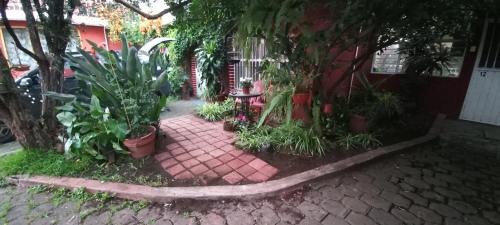 Morelia Hotel | Casa Celia