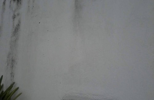 Ribeirao Preto House | Casa Central