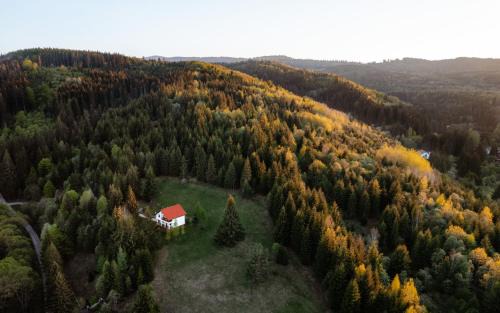 Toplita Villa | Casa Cifu Toplita