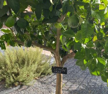 Dilar House | Casa , Dílar, Granada con jardin y piscina