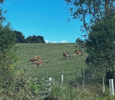 Lauro Muller House | Casa da Figueira
