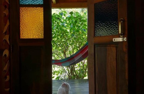 Guarda do Embau House | Casa da Floresta