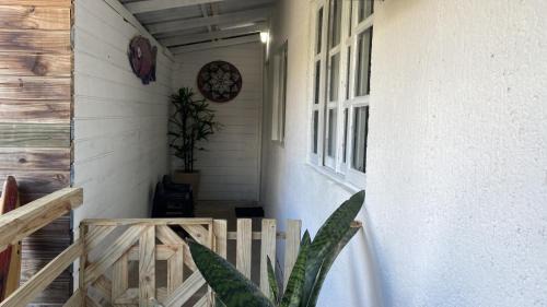 Campeche Apartment | casa da Lú