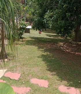 Itatiba House | Casa de Campo Terra da Paz