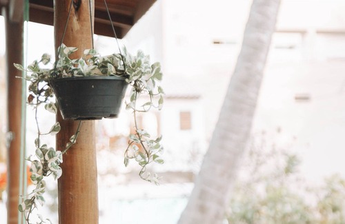 Prea House | Casa de Férias no Paraíso da Praia do Preá - CE