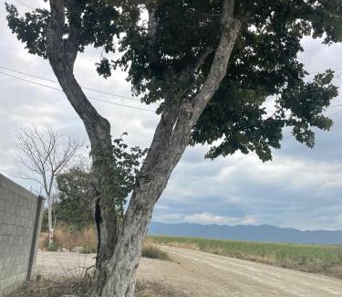 La Huasteca House | Casa de las estrellas