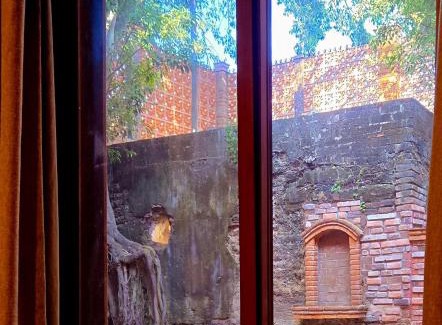Sin Nombre Loc. San Blas Hotel | Casa del Arbol