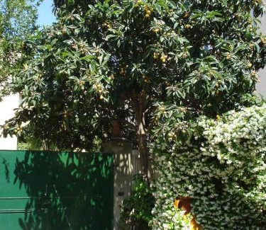 Campo di Marte Apartment | Casa del Gelsomino e del Nespolo