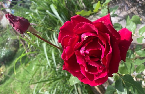 Santa Barbara Apartment | Casa Descanso en el Campo con Hermosa Vista a los Farallones