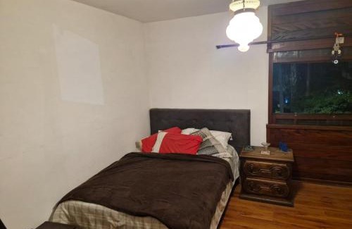 Santo Amaro House | Casa DjGustavolobo brooklim