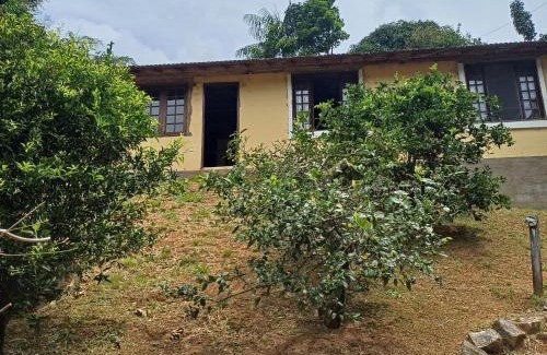 Sao Pedro da Serra House | Casa do alecrim