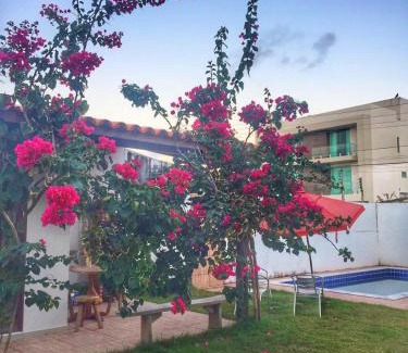 Praia do Frances House | Casa do Francês Temporada