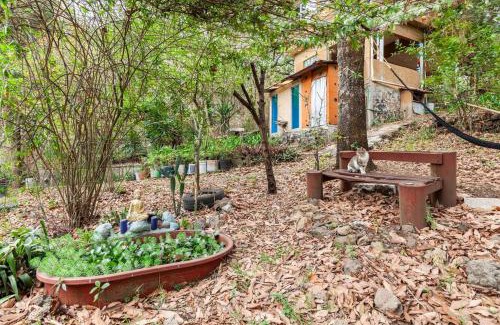 Tepoztlan Apartment | Casa Ecológica