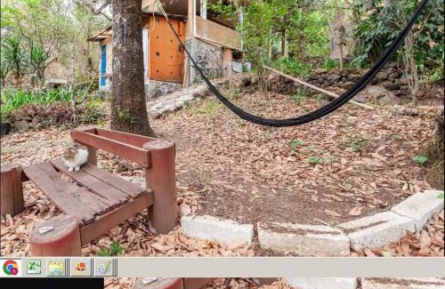 Tepoztlan Apartment | Casa Ecológica
