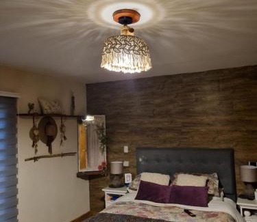 Rio del Sur House | Casa en medio del bosque