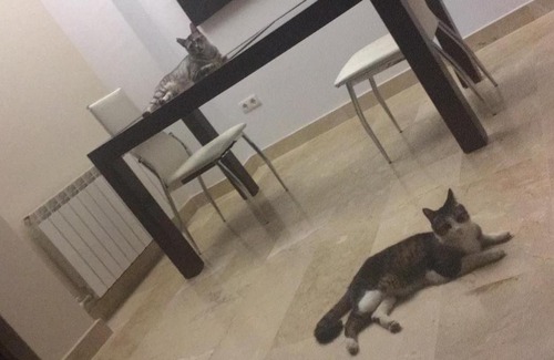 Armilla House | Casa Familiar en Armilla