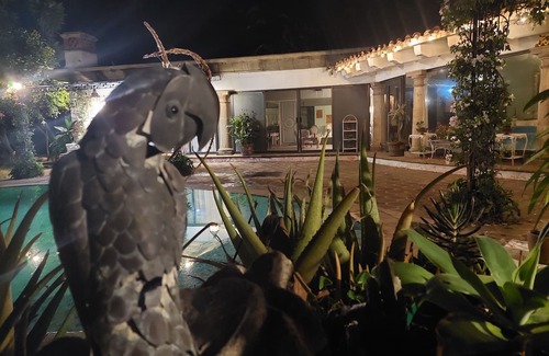 Acapantzingo House | Casa Ficus Residence